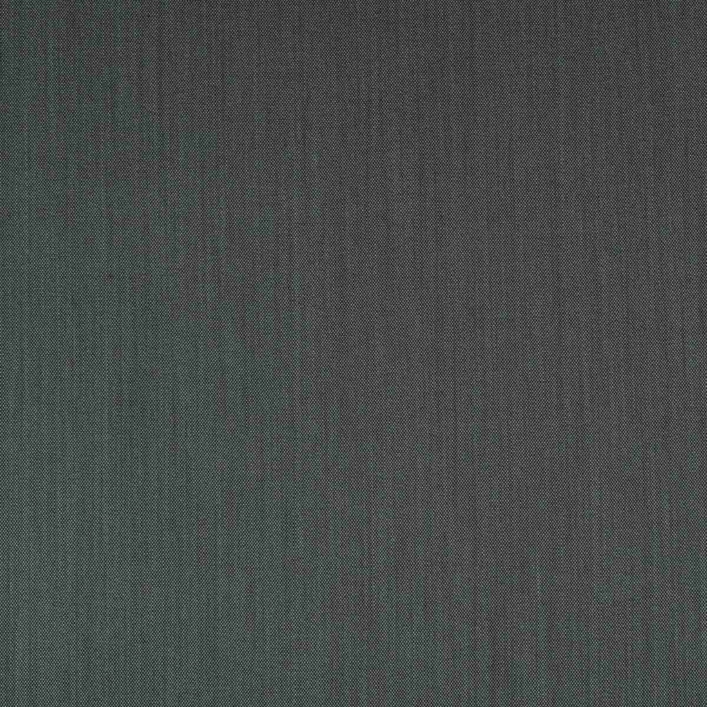 GREY, BIRDEYE (ST# 24085)