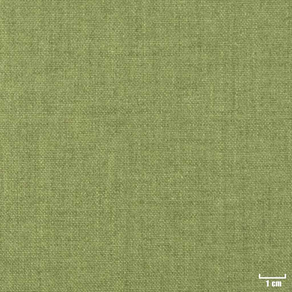 GREEN, PLAIN