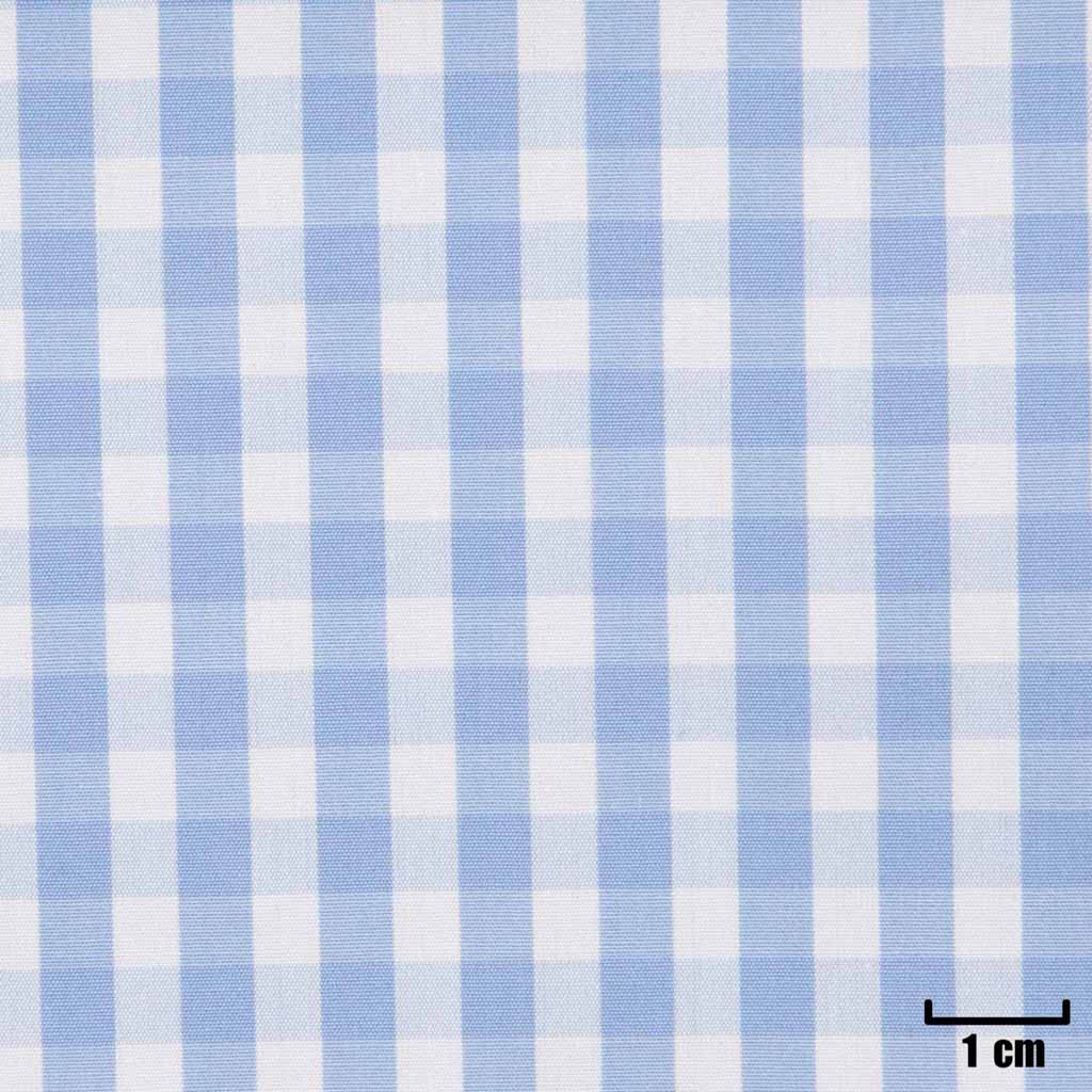 WHITE, SMALL BLUE CHECKS