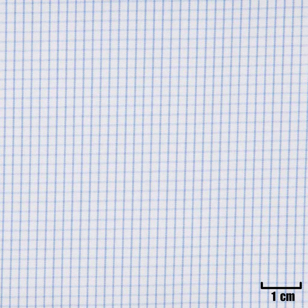 WHITE, SMALL BLUE CHECKS