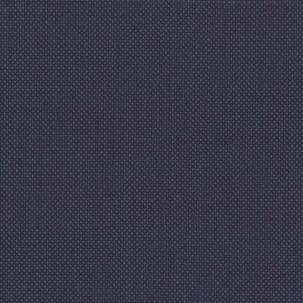 DARK BLUE, BIRDEYE (DR# 12535)