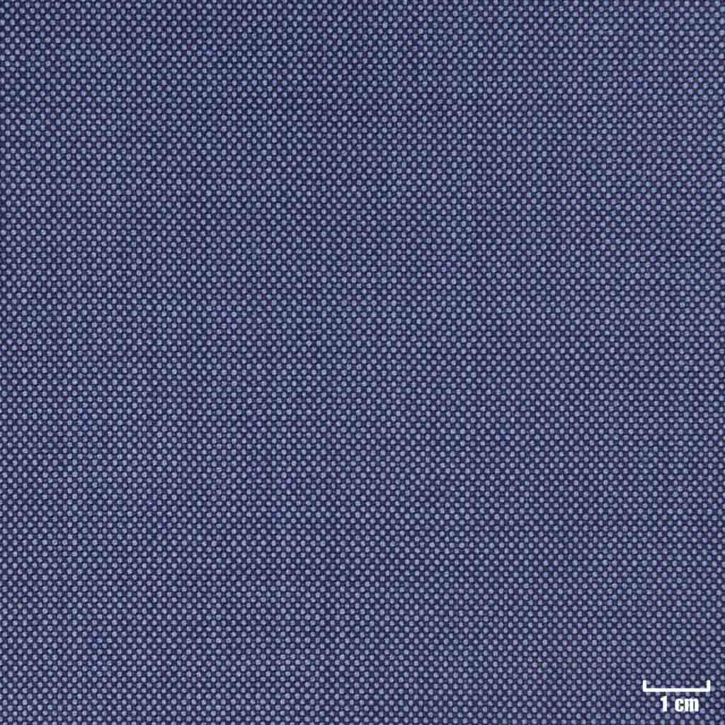 LIGHT BLUE, BIRDEYE (DR# 10142)