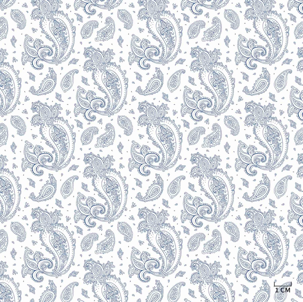 WHITE, BLUE PAISLEY PATTERN