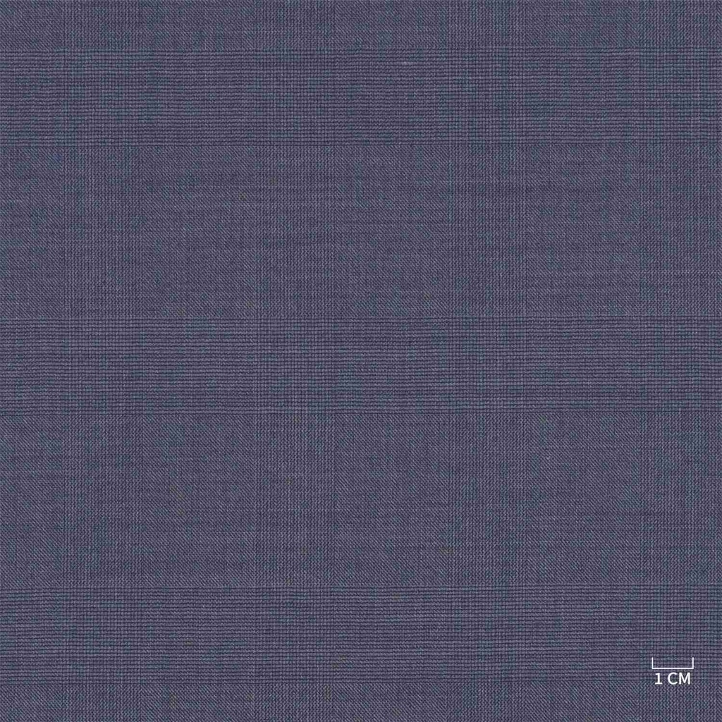 BLUE, CHECKS (103/04)