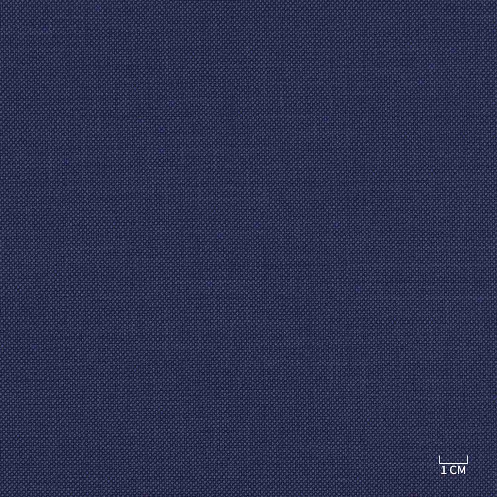 BLUE, BIRDEYE (103/21)