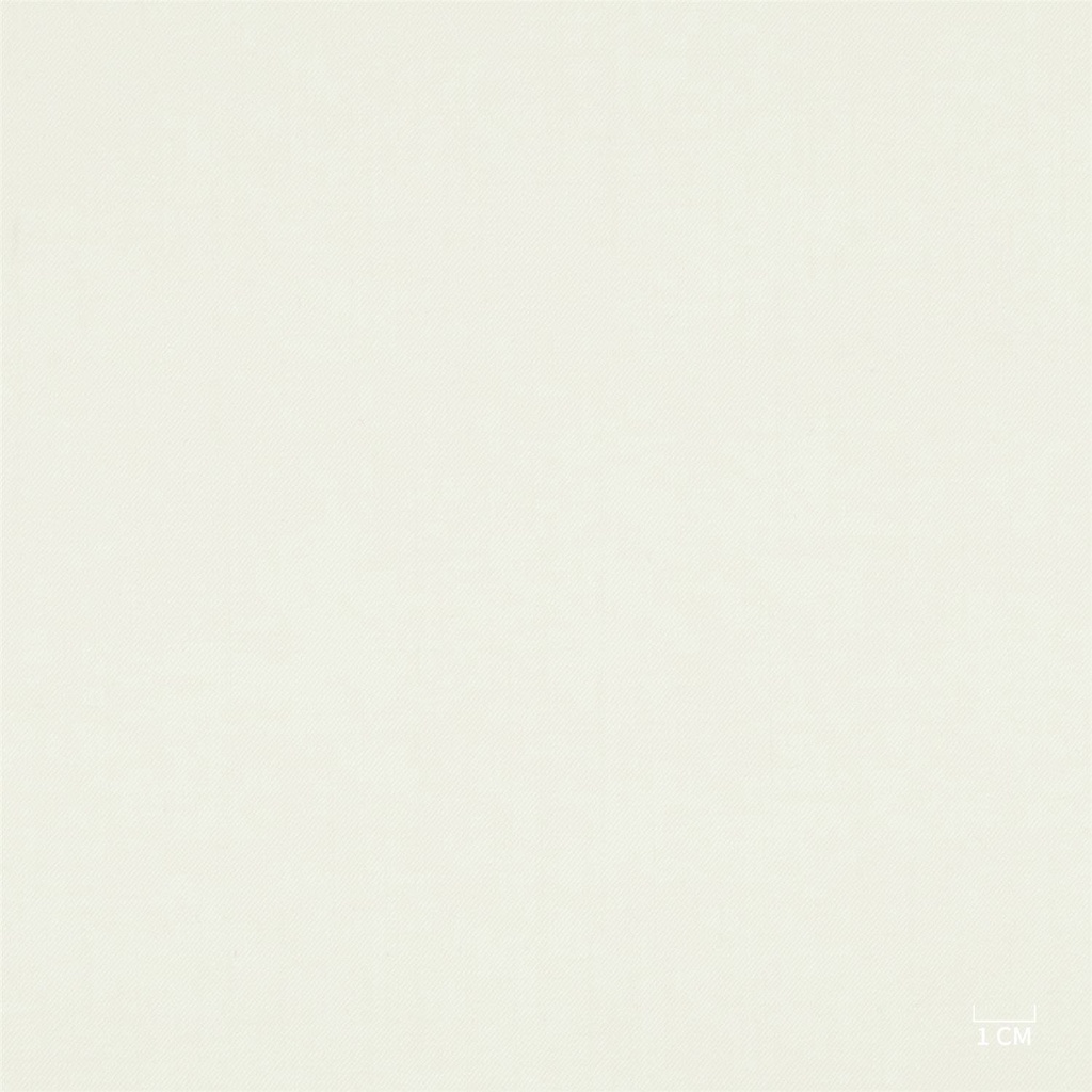 OFF WHITE, PLAIN (105/61)