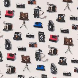[660416] VINTAGE PHOTO CAMERAS