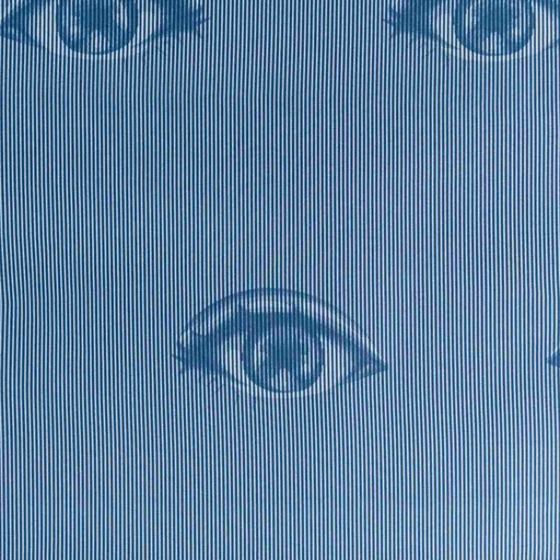 [660456] BLUE, EYES