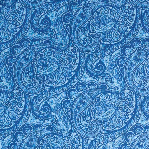 [664632] BLUE PAISLEY