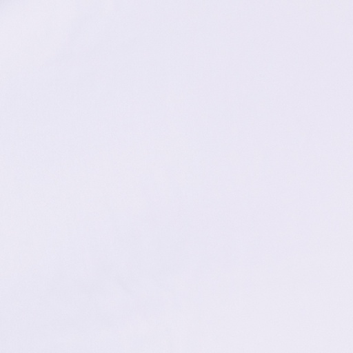 [664662] WHITE,PLAIN