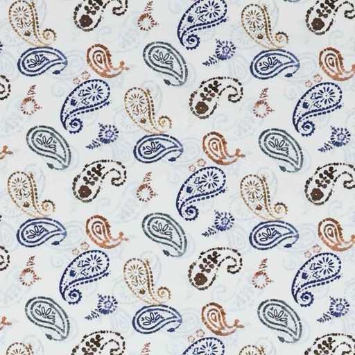 [701906] PAISLEY PATTERN