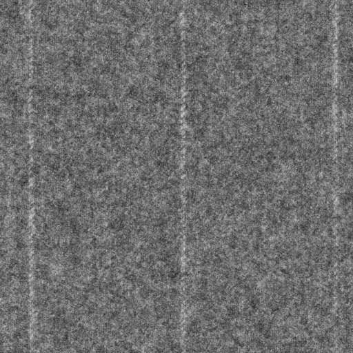 [316414] GREY, STRIPES