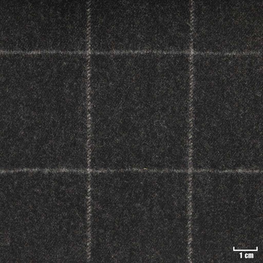 [352018] CHARCOAL, CHECKS