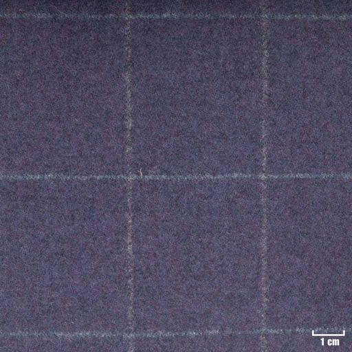 [352019] BLUE, CHECKS