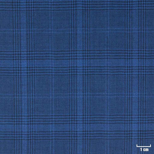 [401801] BLUE, CHECKS