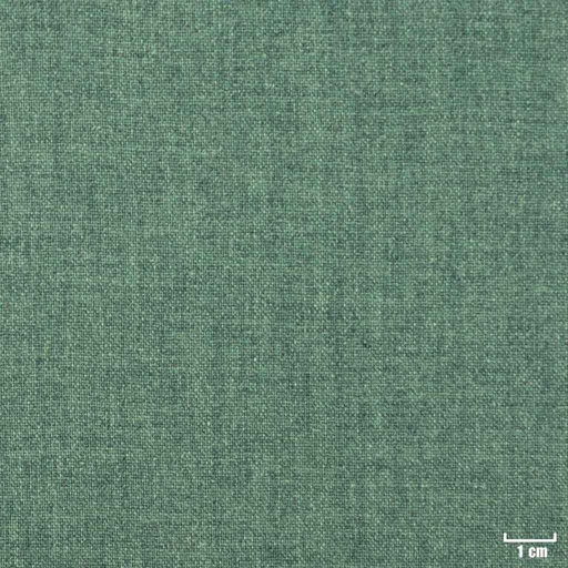 [403919] GREEN, PLAIN