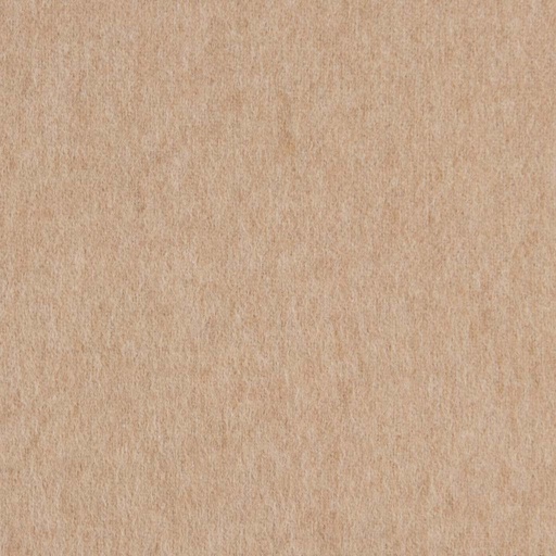 [403524] CAMEL, PLAIN