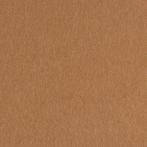 [403529] CAMEL, PLAIN