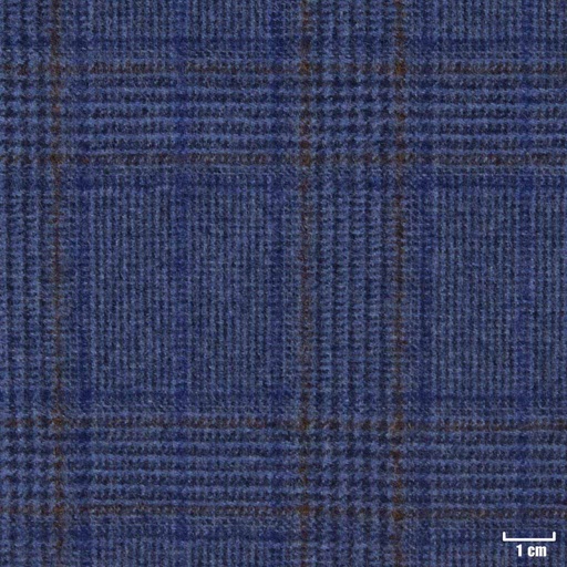[450404] BLUE, CHECKS