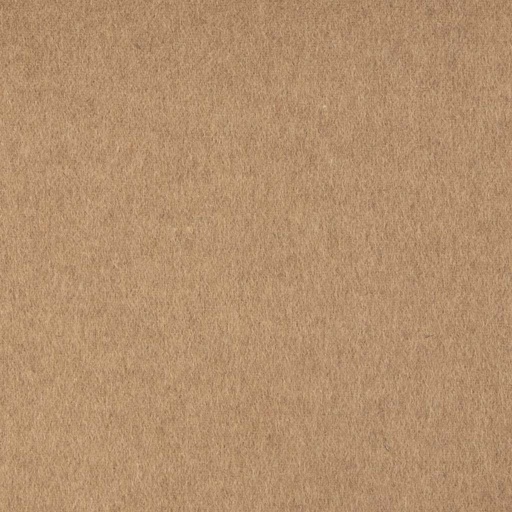 [450425] CAMEL, PLAIN