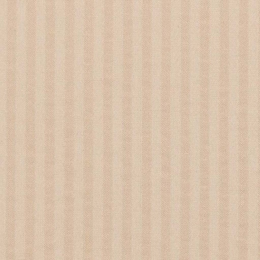 [450911] TAN, STRIPES