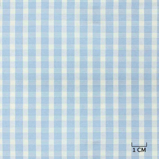 [H10517] BLUE/WHITE, CHECKS