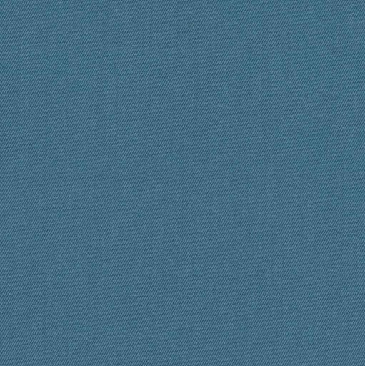 [316928] BLUE, PLAIN (DR# 12030)