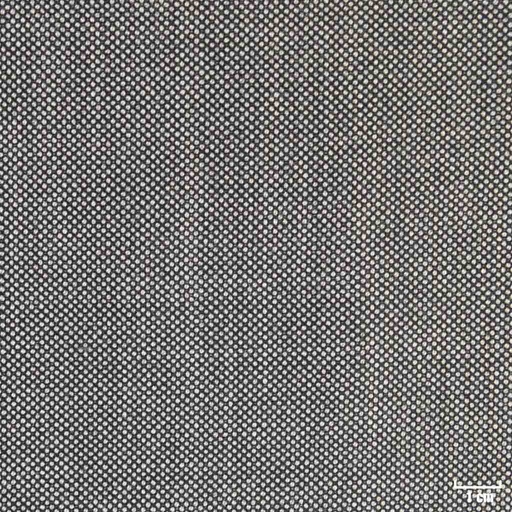 [315534] LIGHT GREY, BIRDEYE