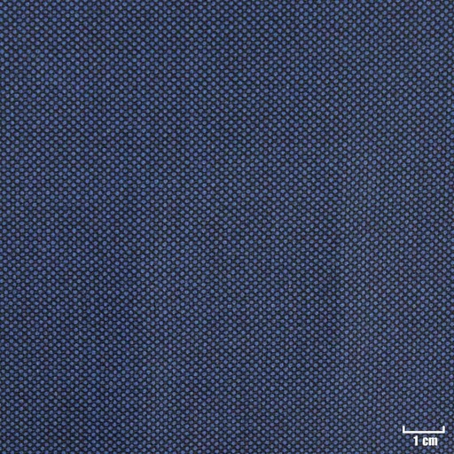 [315536] BLUE, BIRDEYE