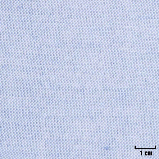 [H11318] BLUE, DOTTED PATTERN