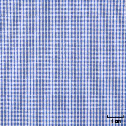 [H11202] WHITE, SMALL BLUE CHECKS