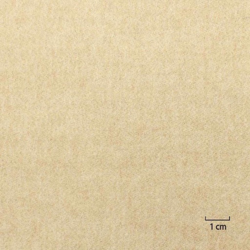 [824810] TAN, PLAIN