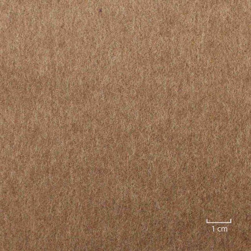 [824811] BROWN, PLAIN