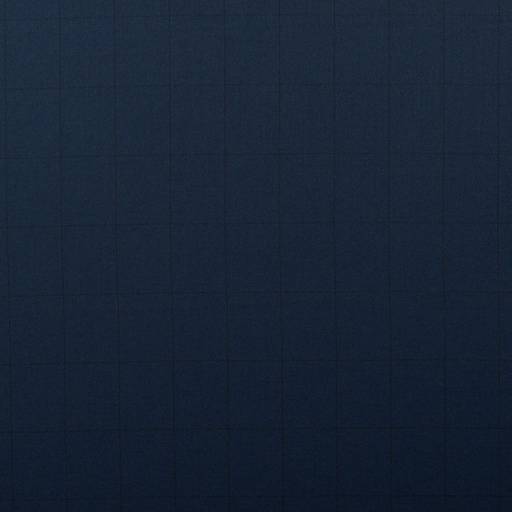 [352921] DARK BLUE, CHECKS