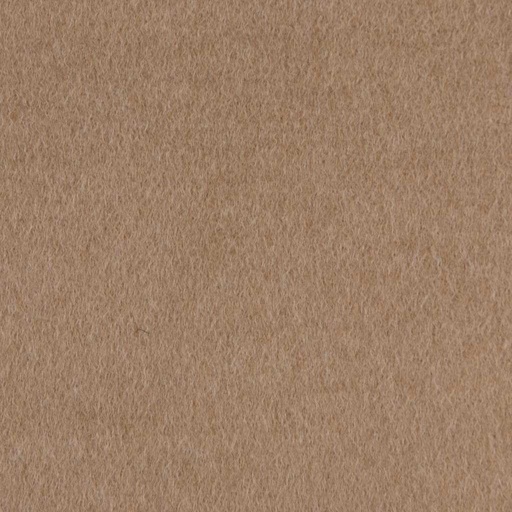 [405636] CAMEL, PLAIN