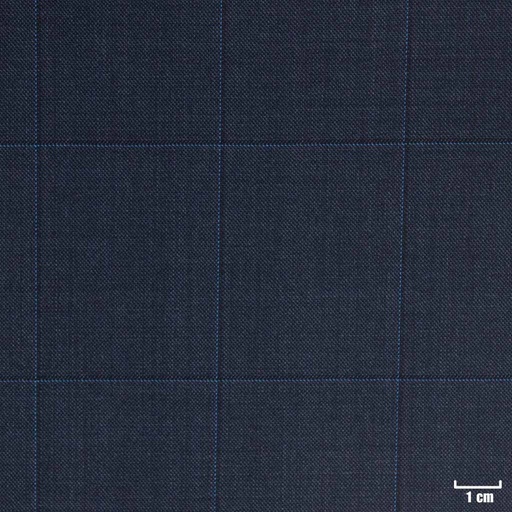 [223608] BLUE, CHECKS