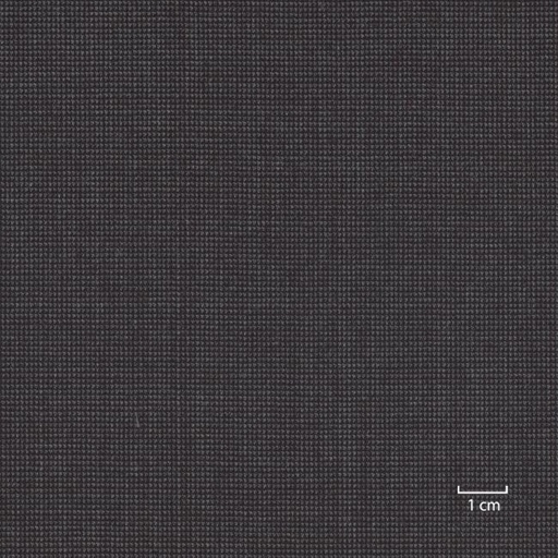 [318537] GREY, PINHEAD (DR# 10137)