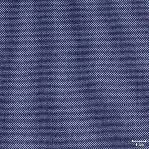 [318542] LIGHT BLUE, BIRDEYE (DR# 10142)