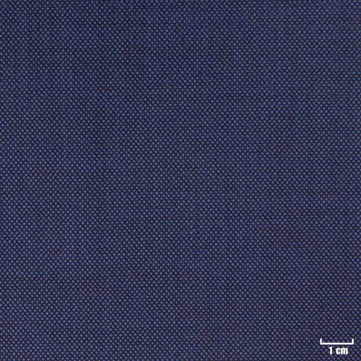 [318543] DARK BLUE, BIRDEYE (DR# 10143)