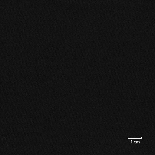 [318770] BLACK, PLAIN (DR# 20170)