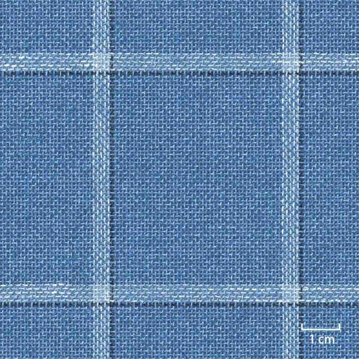 [451423] BLUE, BIG CHECKS