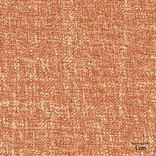 [451437] ORANGE, PLAIN