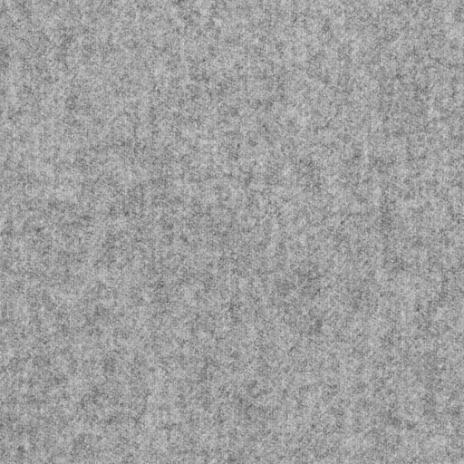 [319048] LIGHT GREY, PLAIN (DR# 70148)