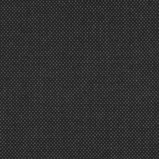 [319131] DARK GREY, BIRDEYE (DR# 61031)