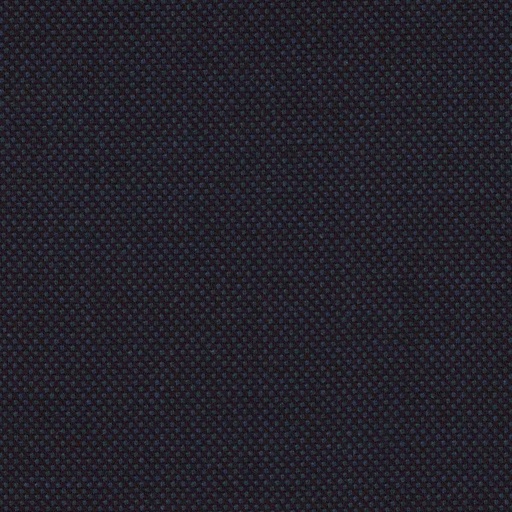 [319133] DARK BLUE, BIRDEYE (DR# 61033)