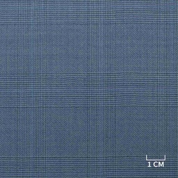 [353514] BLUE,CHECKS