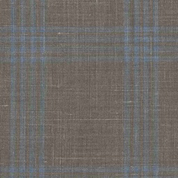 [319601] BROWN, BIG BLUE CHECKS (DR# 50401)