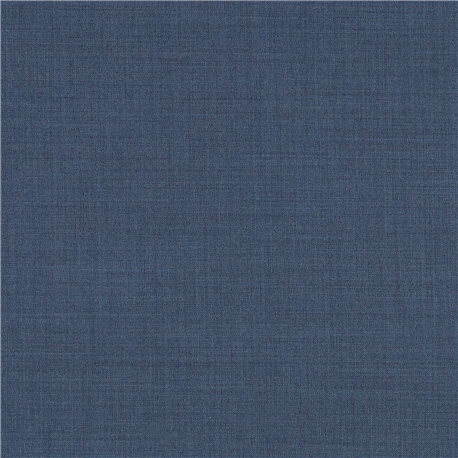 [610013] BLUE,PLAIN (101/13)