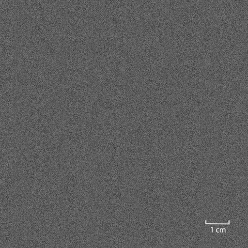 [451720] GREY,STRIPES