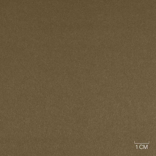 [353820] CAMEL, PLAIN